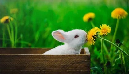 天博体育-【集锦】皇马3-0曼城，巴尔韦德半场戴帽，维尼修斯失点